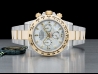 劳力士 (Rolex) Daytona Cosmograph Mop Diamonds Mother Of Pearl Rolex Guarantee 116503